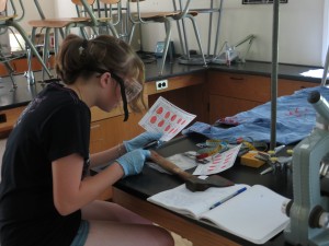 forensic science summer camp doing fingerprinting on first day